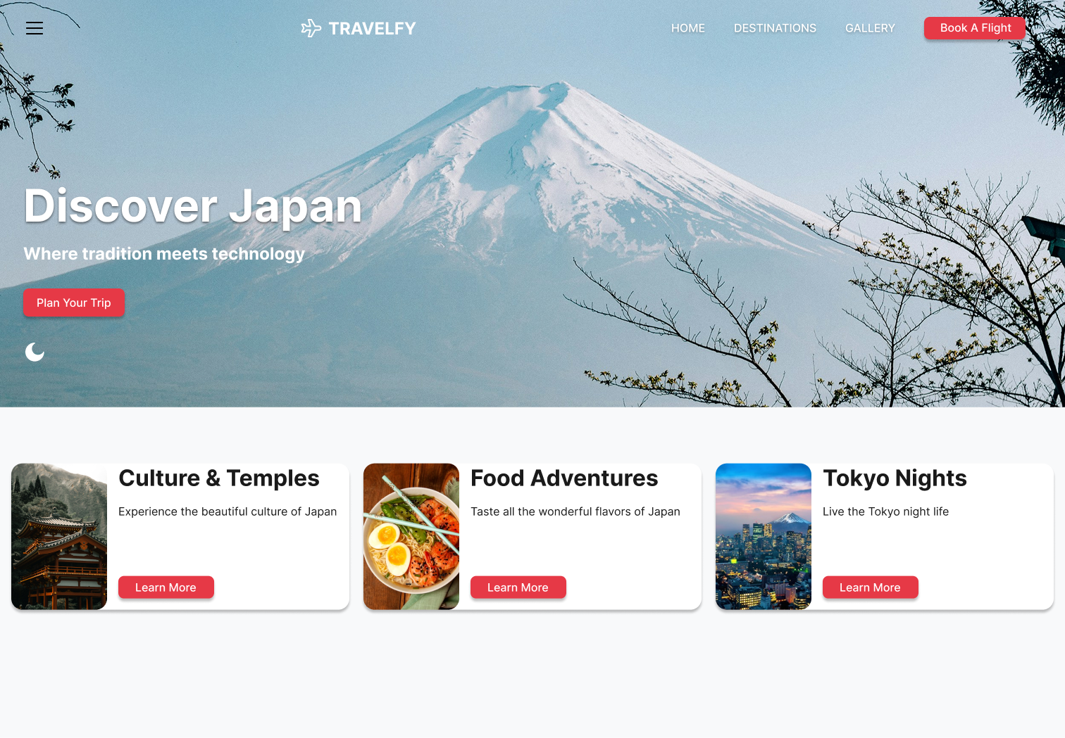 Travel Website Design